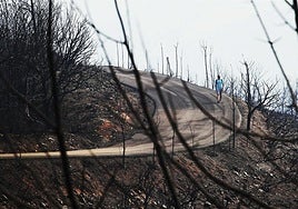 paraje quemado por el incendio en Las Médulas (León).