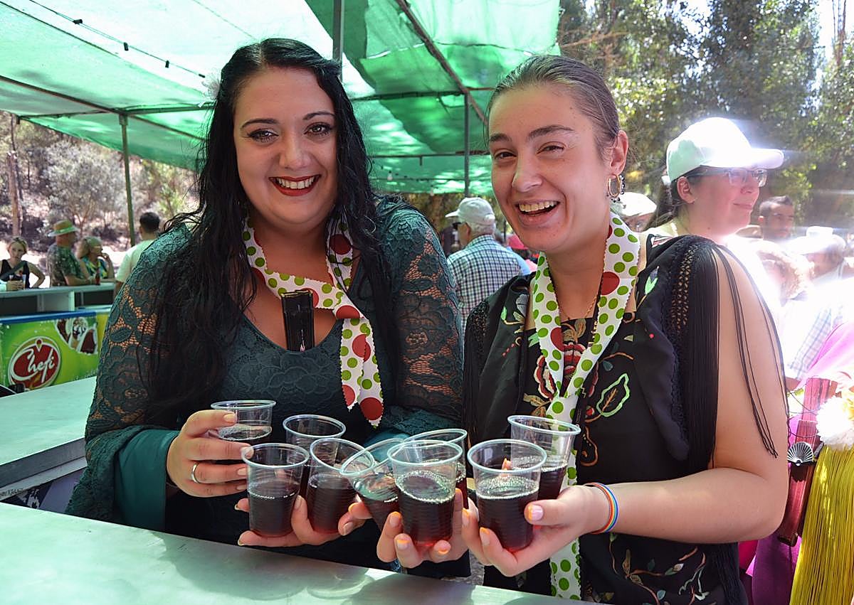 Imagen secundaria 1 - La Romería del Vino de Alhama enamora a forasteros y emigrantes
