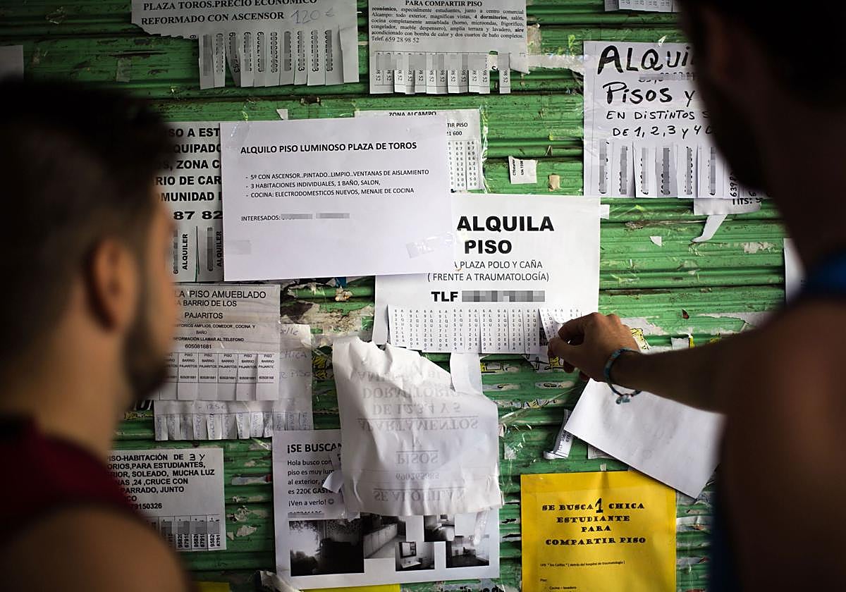 Un estudiante universitario revisa los anuncios de alquiler de pisos compartidos en un tabló