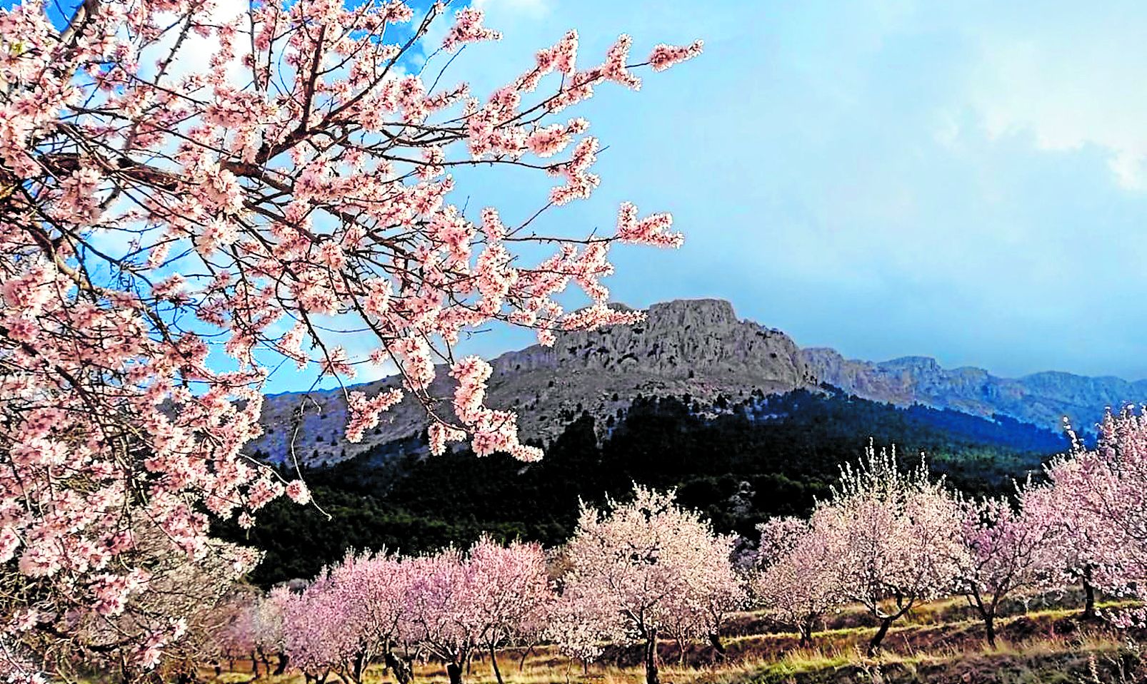 La imagen actual del parque es el resultado de décadas de esfuerzo y planificación.