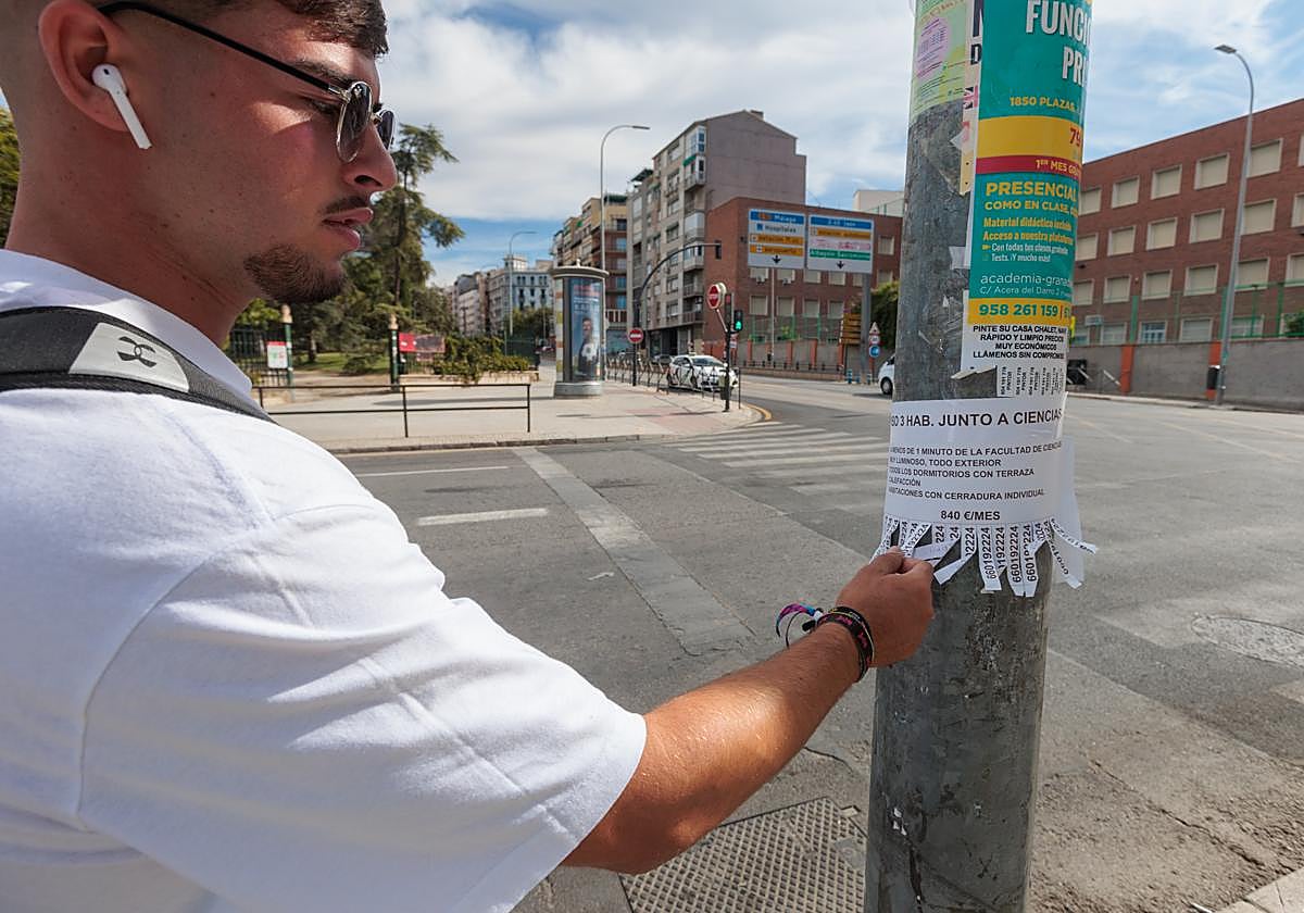 Anuncios de alquileres de pisos en la calle en Granada