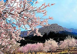 La imagen actual del parque es el resultado de décadas de esfuerzo y planificación.