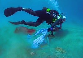 Limpieza de fondos marinos por uno de los buceadores participantes en la actividad.