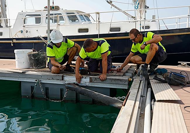 Operarios trabajando en arreglos en la Marina de Motril.