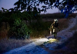 Operativo del Infoca tras estabilizar el incendio.