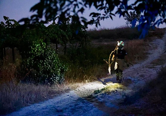 Operativo del Infoca tras estabilizar el incendio.