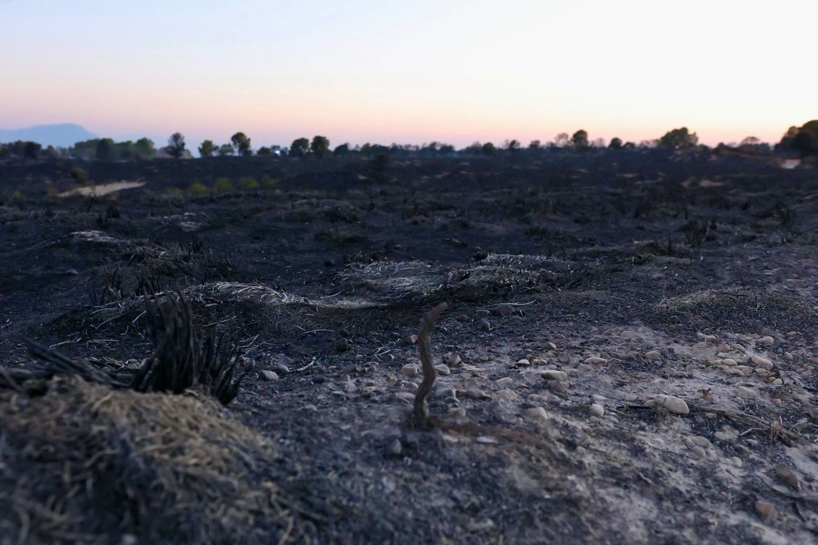 Desde dentro: Las imágenes del incendio de Benamaurel y Castilléjar