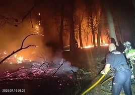 Lucha contra el incendio de Íllora.