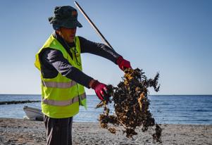 Ejes del plan de gestión