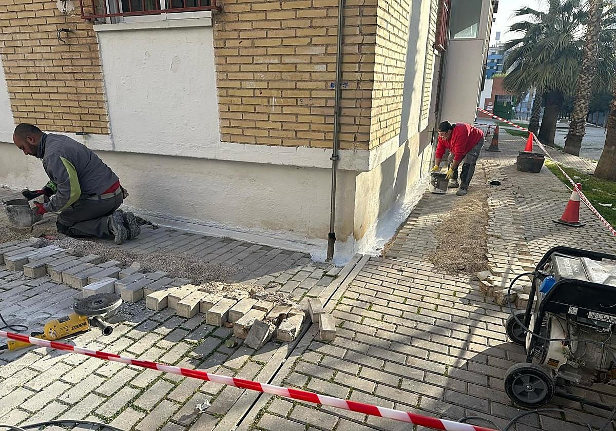 Técnicos durante una de las catas de los últimos meses