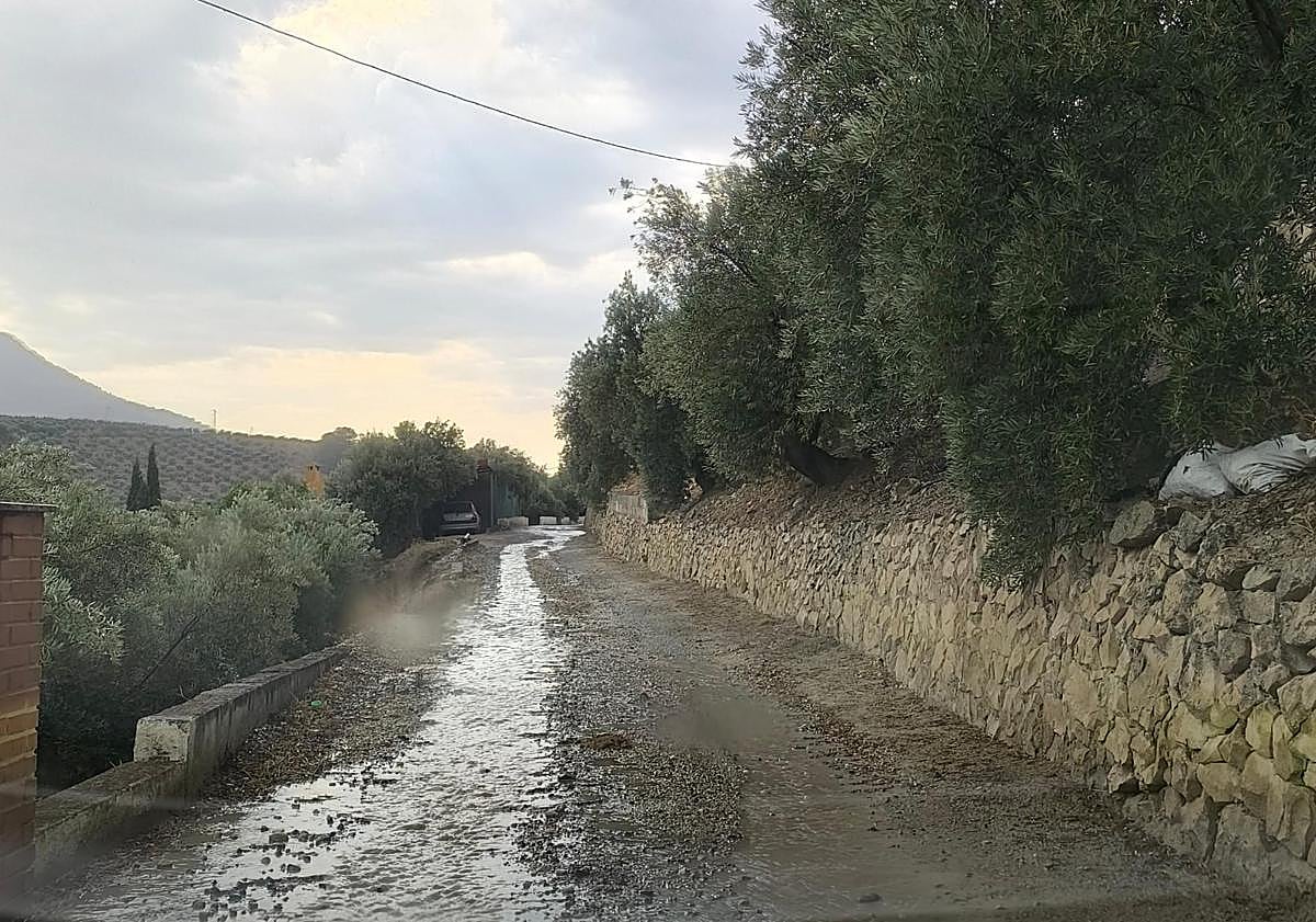 Imagen principal - Los vecinos de La Cerradura denuncian la falta de alumbrado y tareas de desbroce