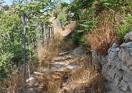 Zona sin desbrozar en La cerradura.