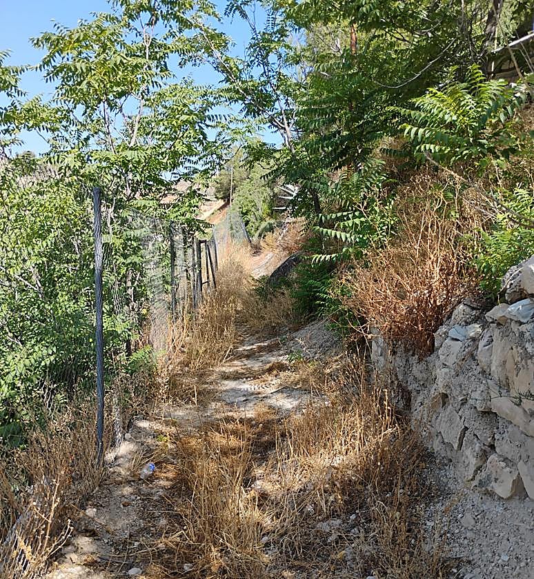 Zona sin desbrozar en La cerradura.