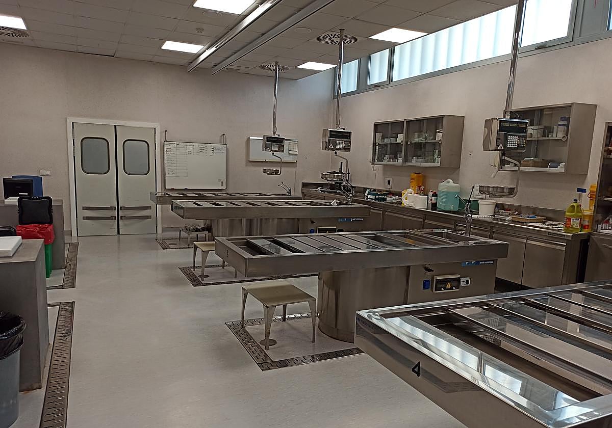 Las autopsias realizadas en el Instituto de Medicina Legal revelan más muertes por siniestros de tráfico y menos por accidentes laborales