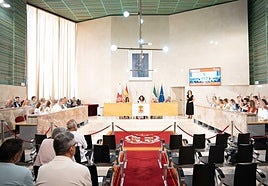 Imagen de una sesión plenaria del Ayuntamiento de Almería.