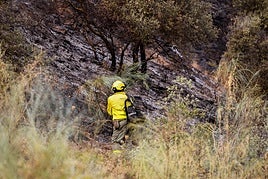 Un bombero del Infoca en la zona incendiada este domingo.
