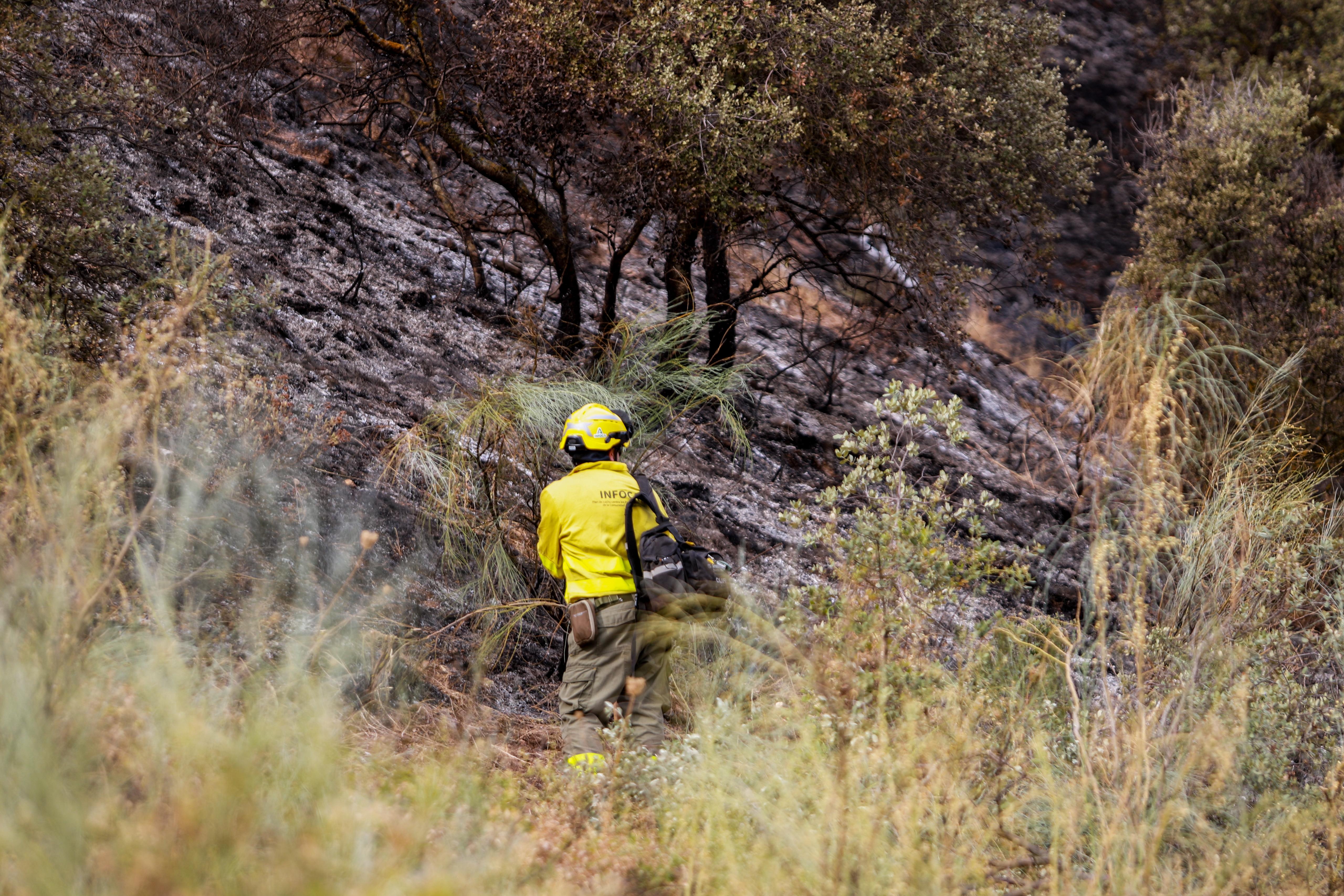 Así ha quedado la zona quemada en la Fuente de la Bicha