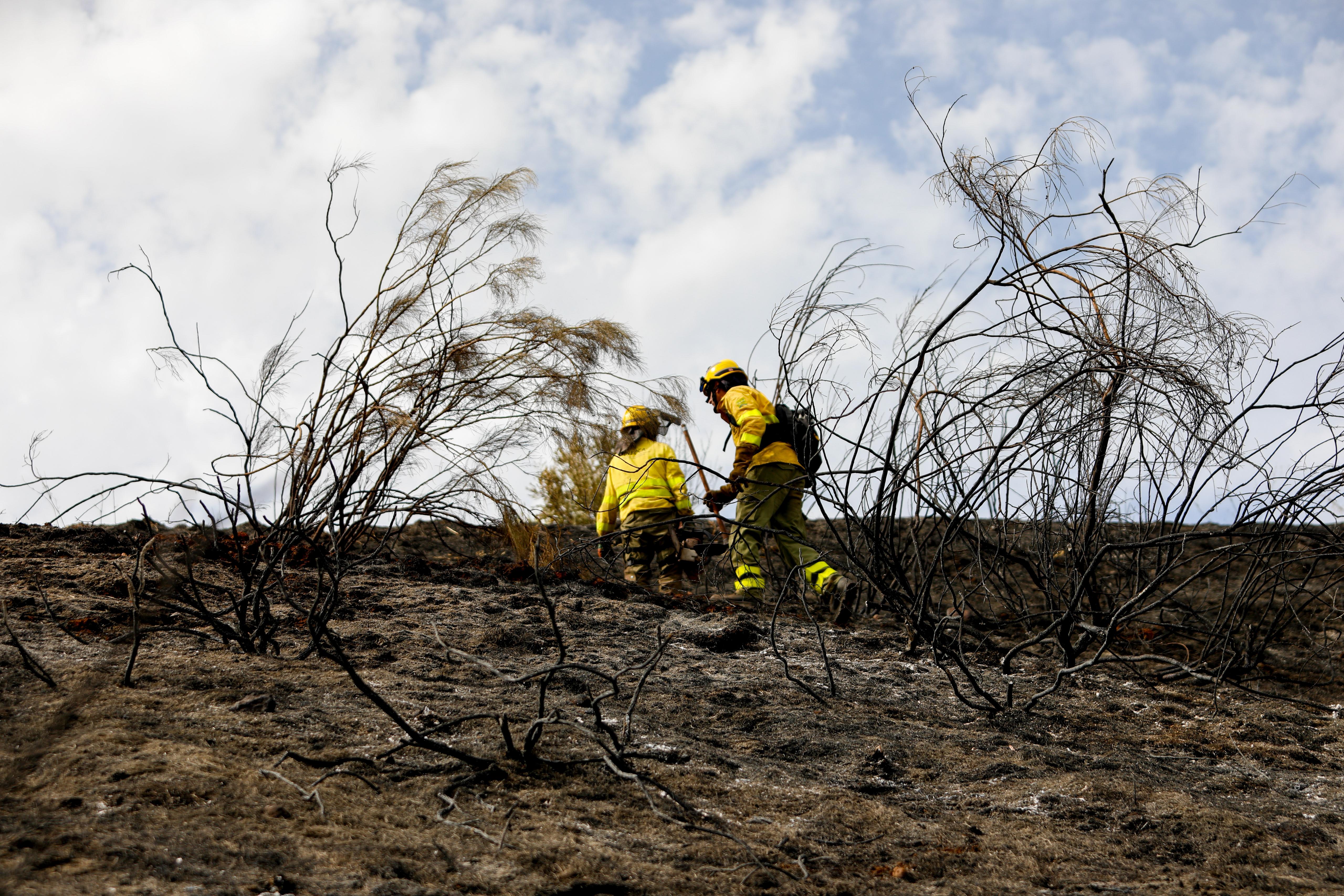 Así ha quedado la zona quemada en la Fuente de la Bicha