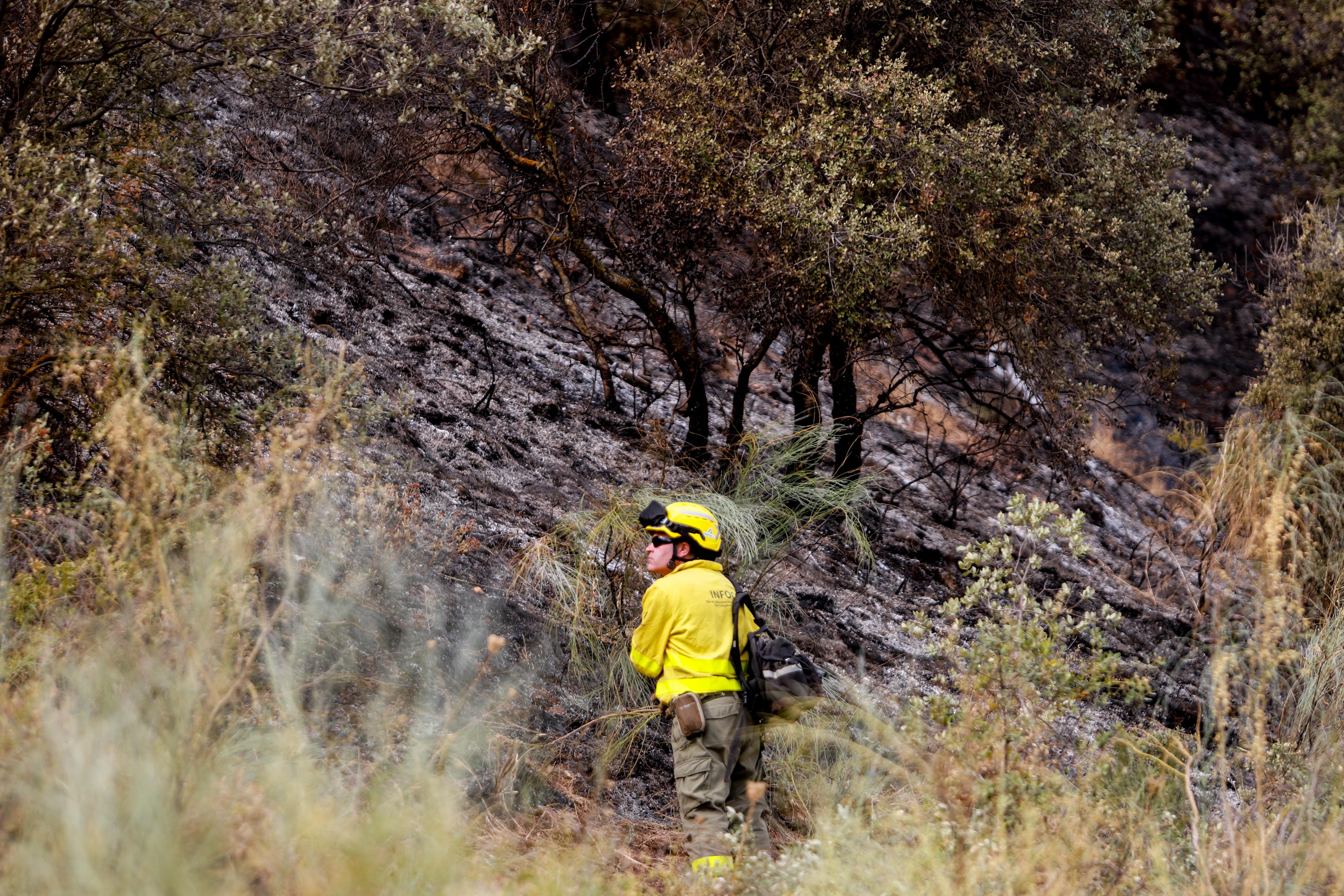 Así ha quedado la zona quemada en la Fuente de la Bicha
