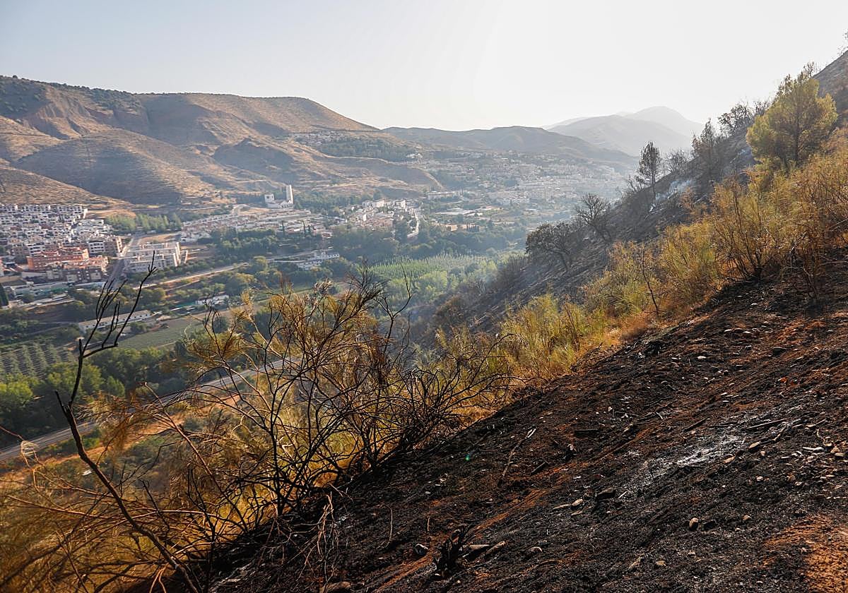 Así ha quedado la zona quemada en la Fuente de la Bicha
