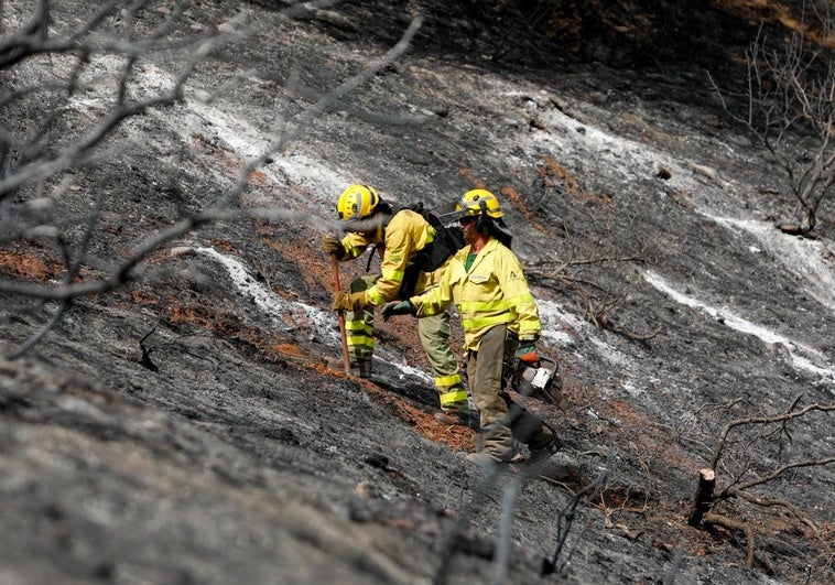 Cenes de la Vega cancela los fuegos artificiales de sus fiestas por «riesgo» de incendios