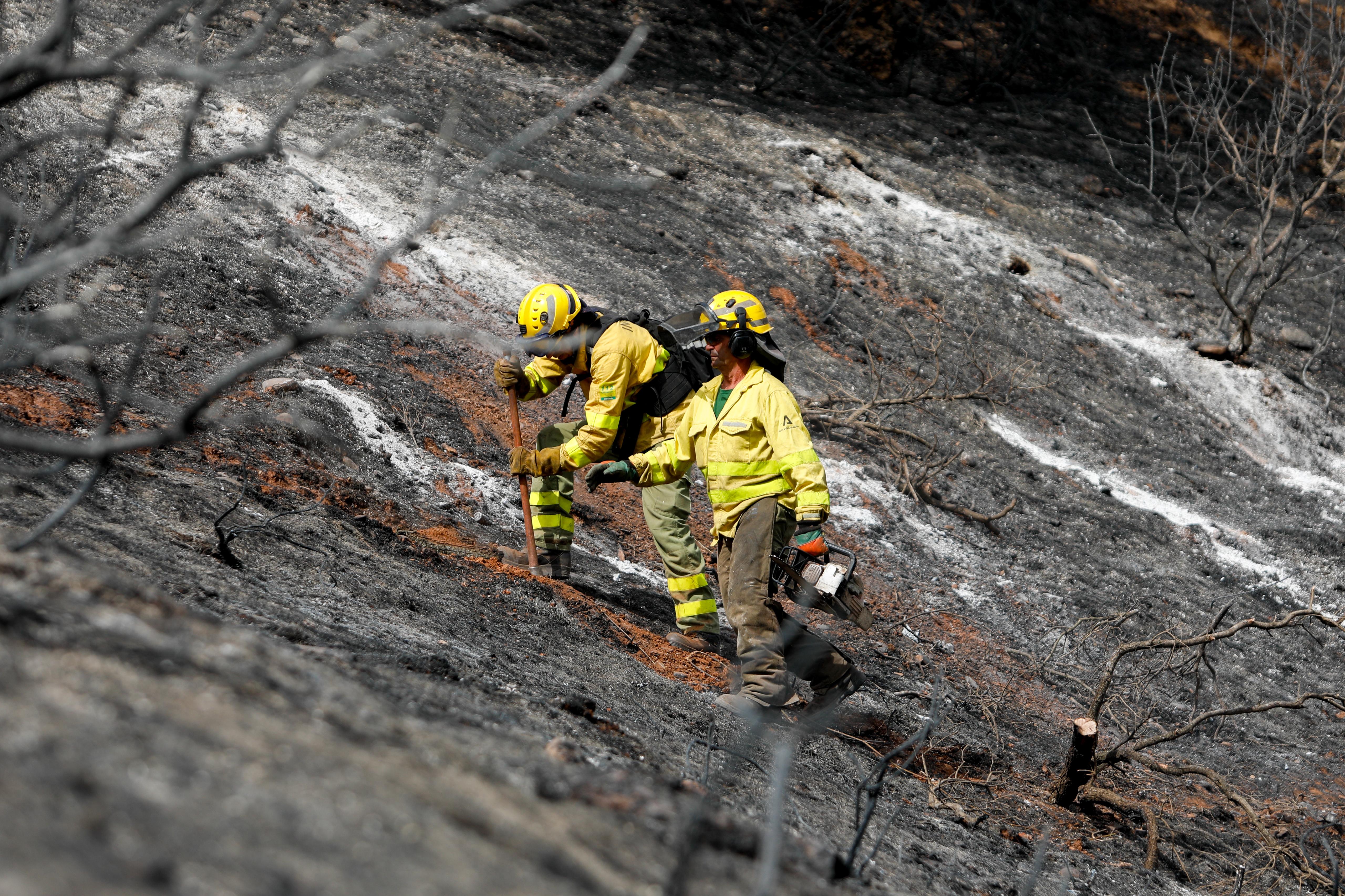 Así ha quedado la zona quemada en la Fuente de la Bicha