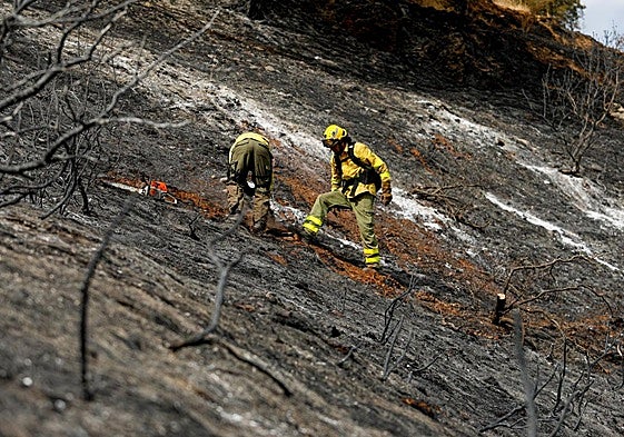 Dos bomberos trabajan en la ladera de la Fuente de la Bicha.