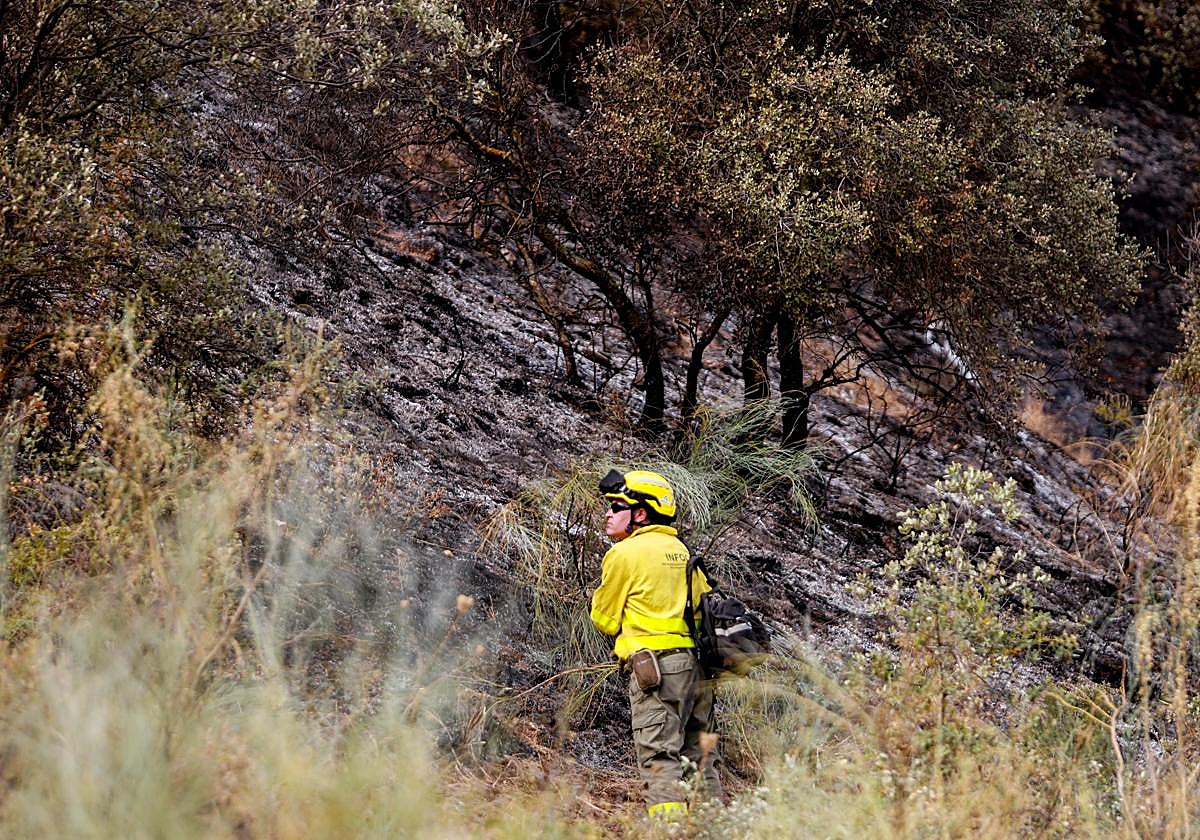 Control por parte del Infoca del incendio en Cenes