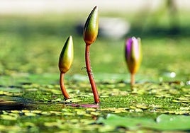 Guantes de cuero negro