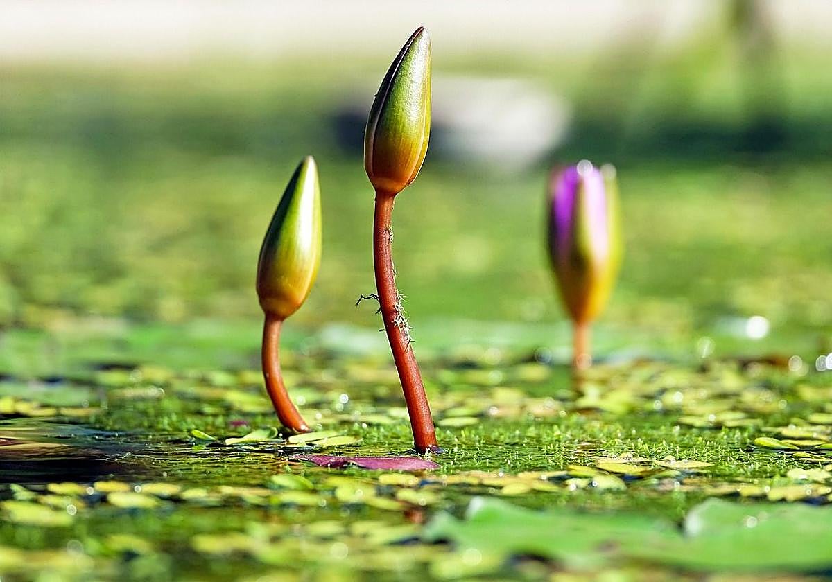 Guantes de cuero negro