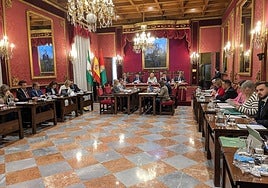 Imagen del pleno del Ayuntamiento de Granada.