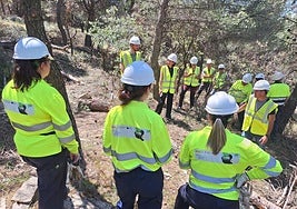 Trabajadores del proyecto.