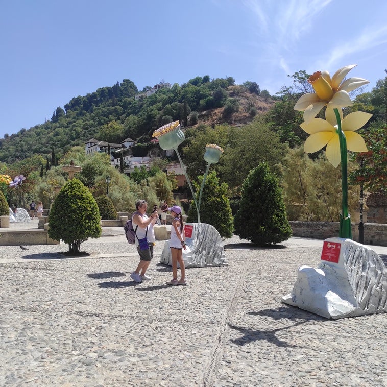 Sierra Nevada florece en el Paseo de los Tristes