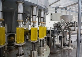 Envasado de botellas de aceite en una imagen de archivo.