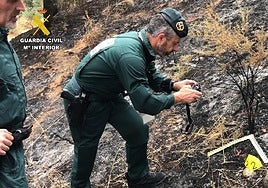 Agentes del Seprona recogen pruebas en la zona afectada por el incendio en Cenes