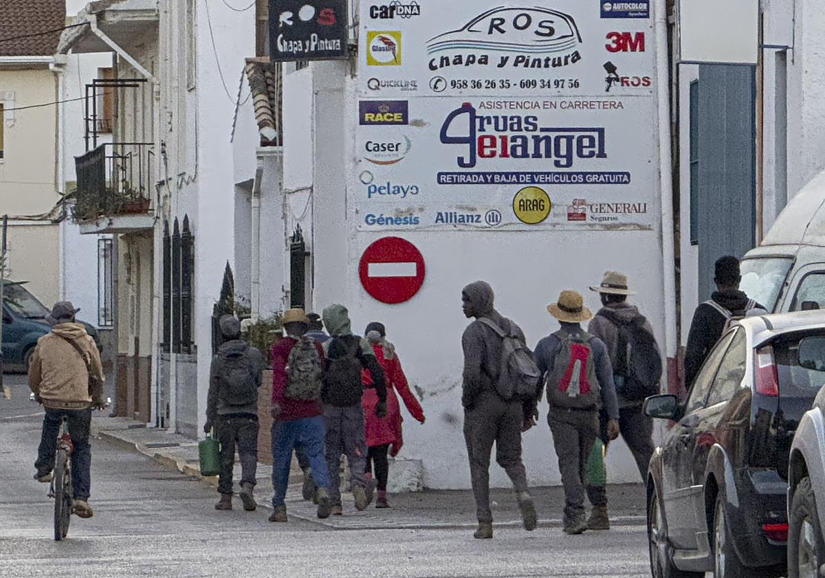 Imagen principal - La vida de los temporeros en Ventas de Zafarraya.