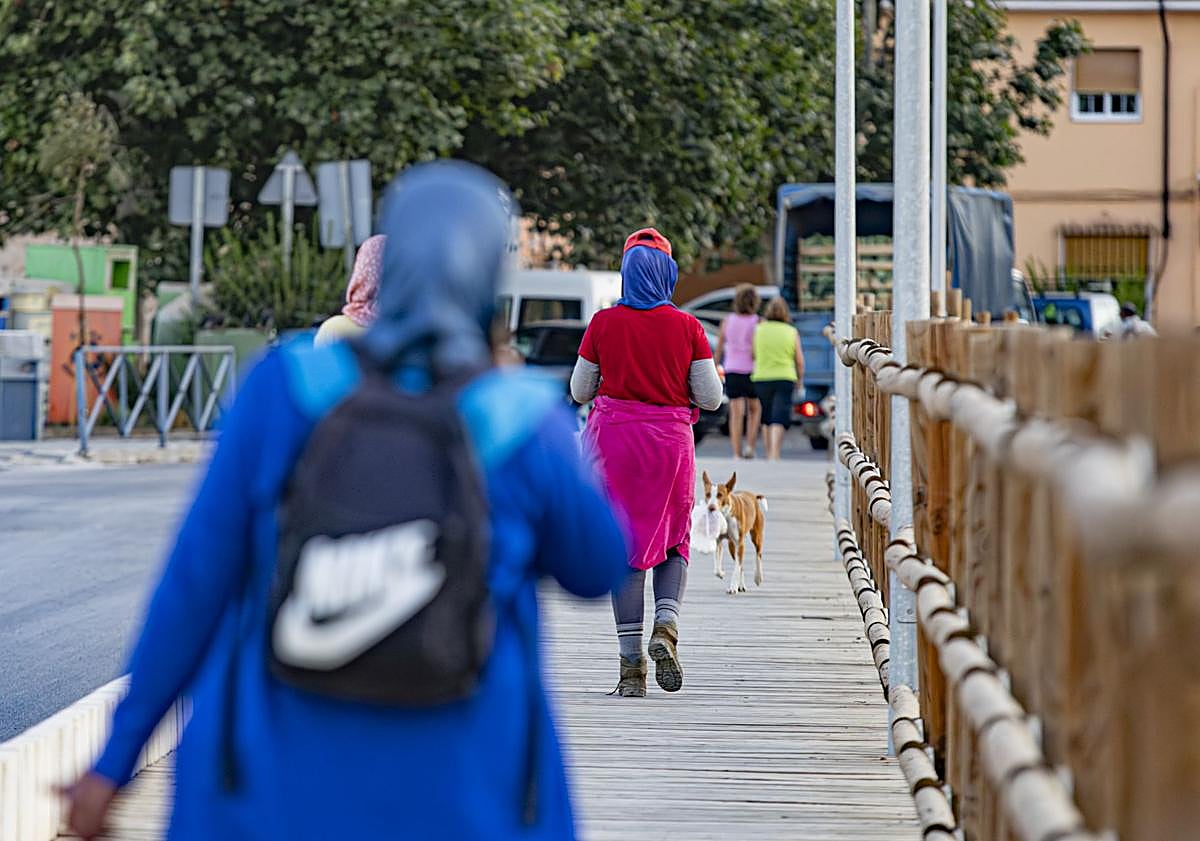 Imagen principal - La vida de los temporeros en Ventas de Zafarraya.