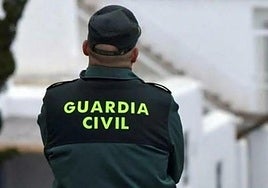 Hallan el cuerpo sin vida de una mujer en una piscina en Vícar