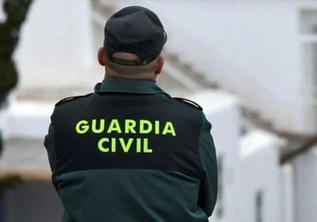 Hallan el cuerpo sin vida de una mujer en una piscina en Vícar