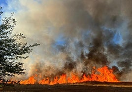 Las imágenes del incendio