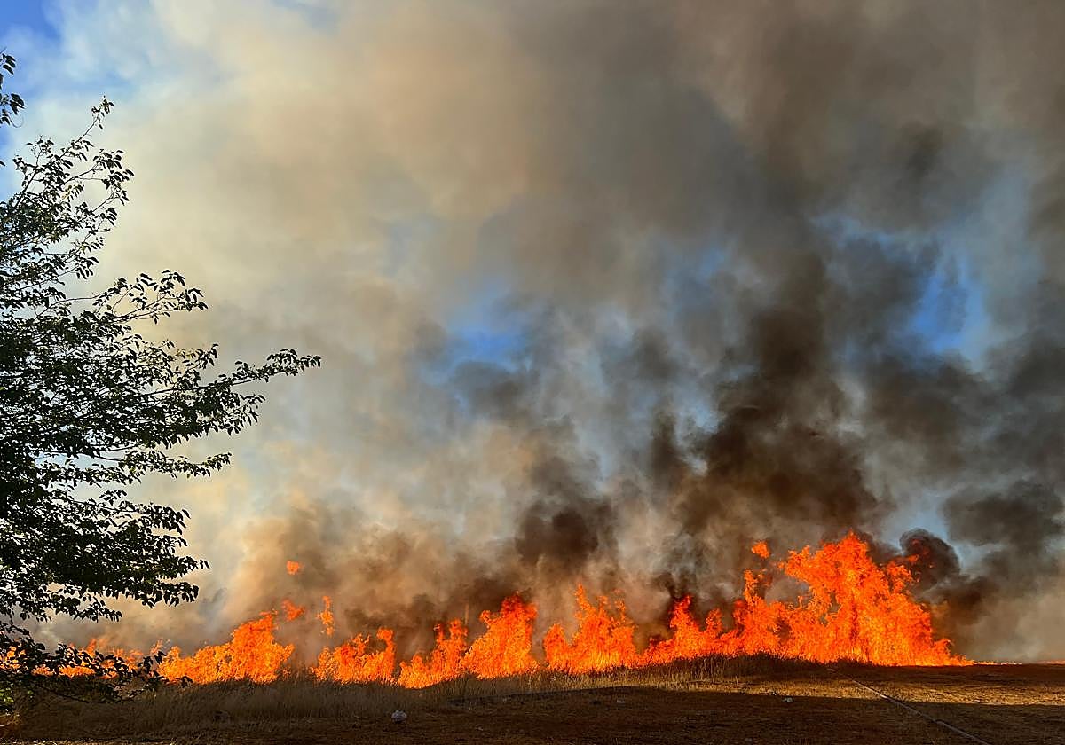 El fuego está cerca de algunas viviendas.