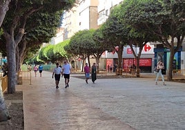 Vista del Paseo a inicios de septiembre, con el primer tramo liberado hasta Navarro Rodrigo.