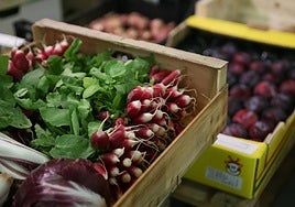 El alimento que ayuda a la dieta y a limpiar el cuerpo por dentro.