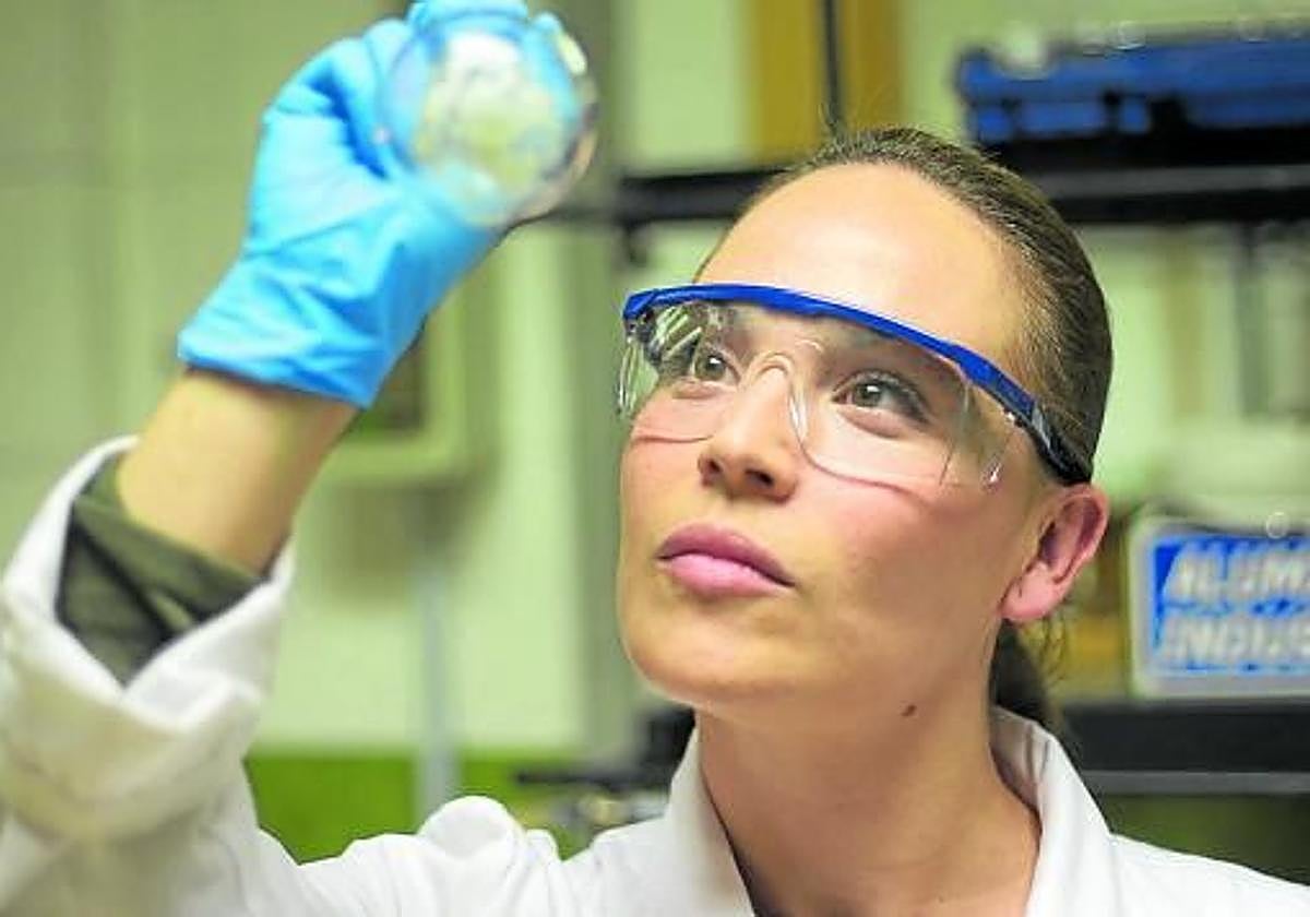 Farmacia tendrá candidata a decana tras no haber aspirante en un primer intento.