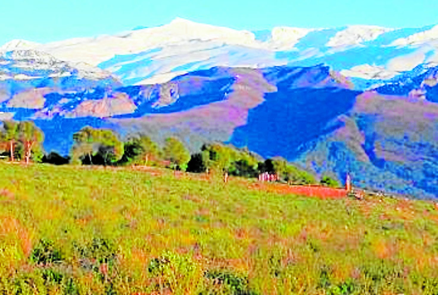 Gestión forestal responsable: el reto pendiente en Sierra Nevada