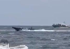 Los narcos se 'burlan' de la Guardia Civil: cinco embarcaciones superan al Servicio Marítimo en Almería
