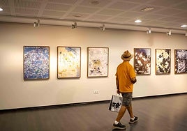 Joan Fontcuberta se bautiza en Almería con su fotografía experimental