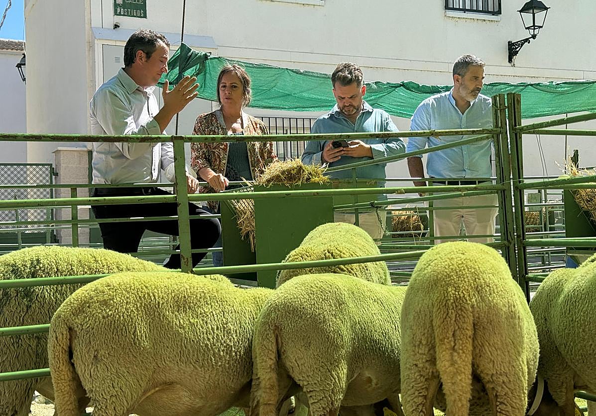 Visita de Catalina García a las obras.
