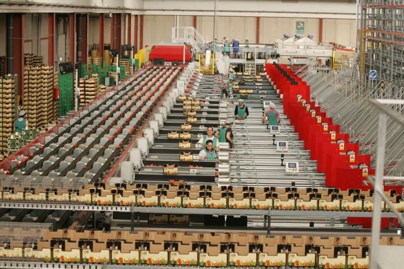 Imagen de archivo de las instalaciones de una cooperativa almeriense.