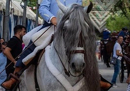 Los aficionados al mundo del cabalo están de enhorabuena debido a esta actividad.
